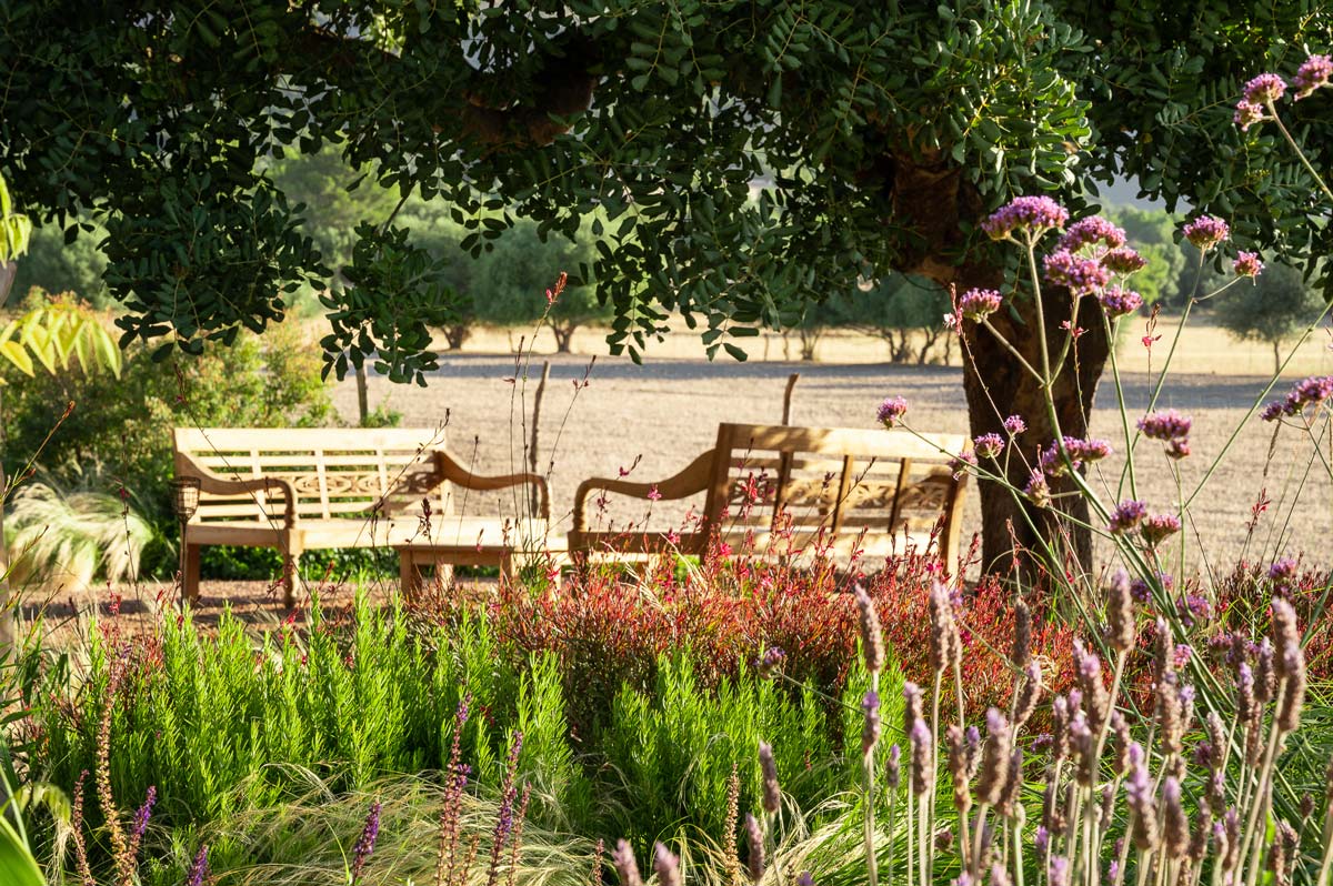 Diseño de jardín en Selva, Mallorca | Jardinería Bisanyes