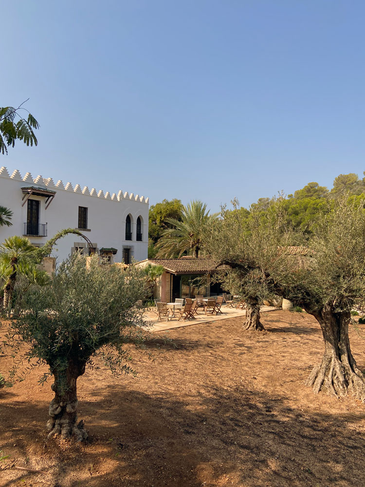 Diseño de jardín de Olive Art, Mallorca | Jardinería Bisanyes