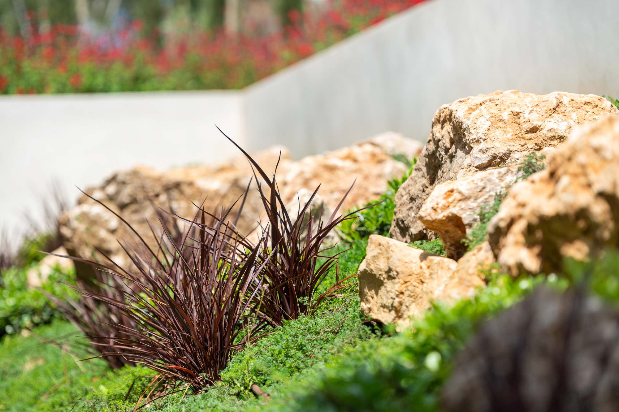 Diseño de jardín en Bonaire, Mallorca | Jardinería Bisanyes
